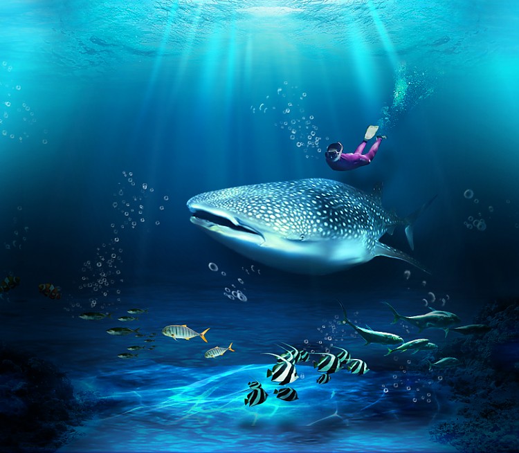 main_bg_large.jpg